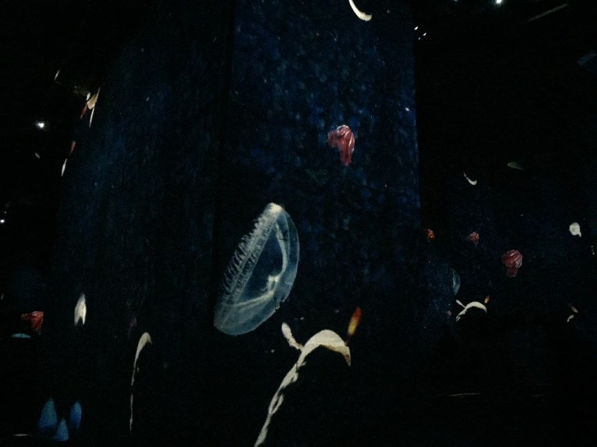 A bit hard to make out, but this was part of one of the art shows we saw in the Lumieres. The theme of this one seemed to be the natural world. 